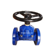 Dn300 Diaphragm Valve